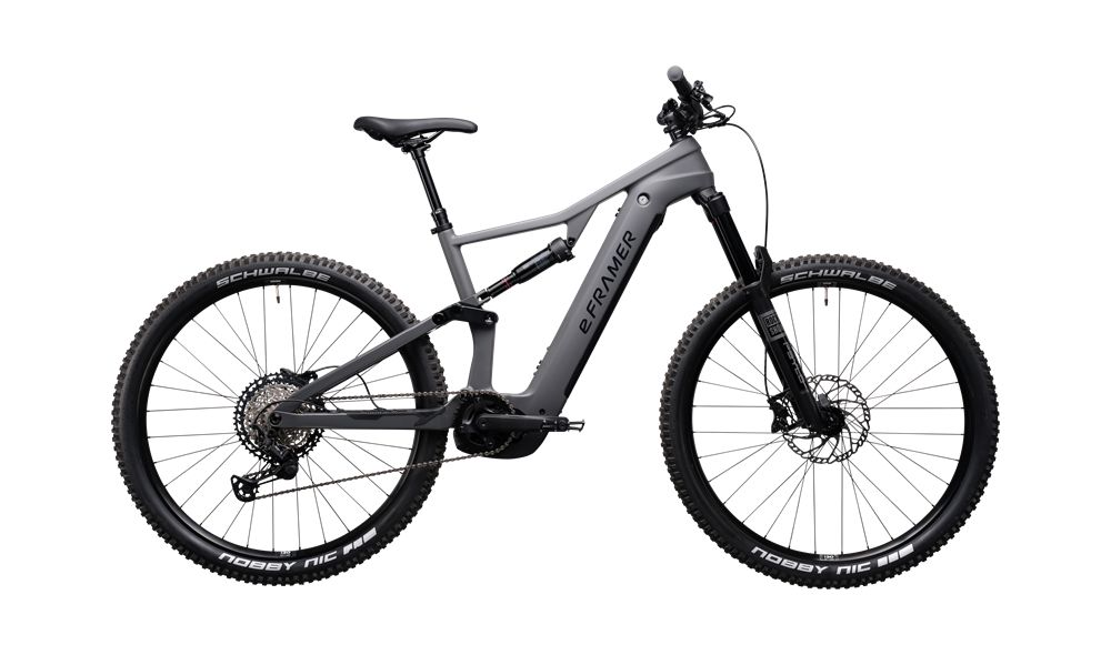 Pro 29 E-Mountainbike