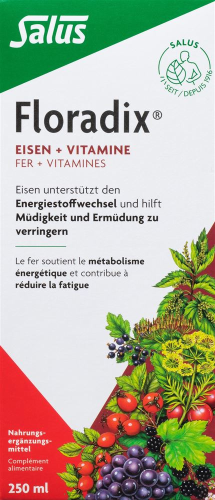 Floradix Eisen + Vitamine Fl 250 ml