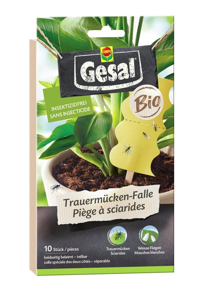 Gesal Trauermücken-Falle Bio 10 Stk