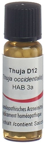 Omida Thuja Glob D 12 2 g