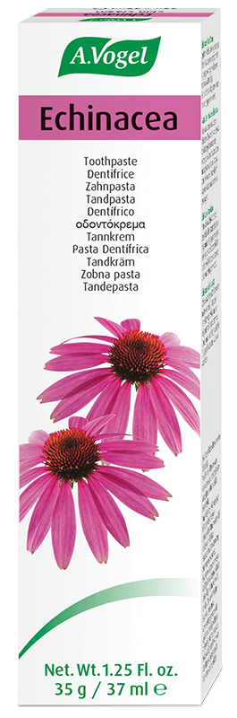 Vogel Zahnpasta Echinacea 100 g