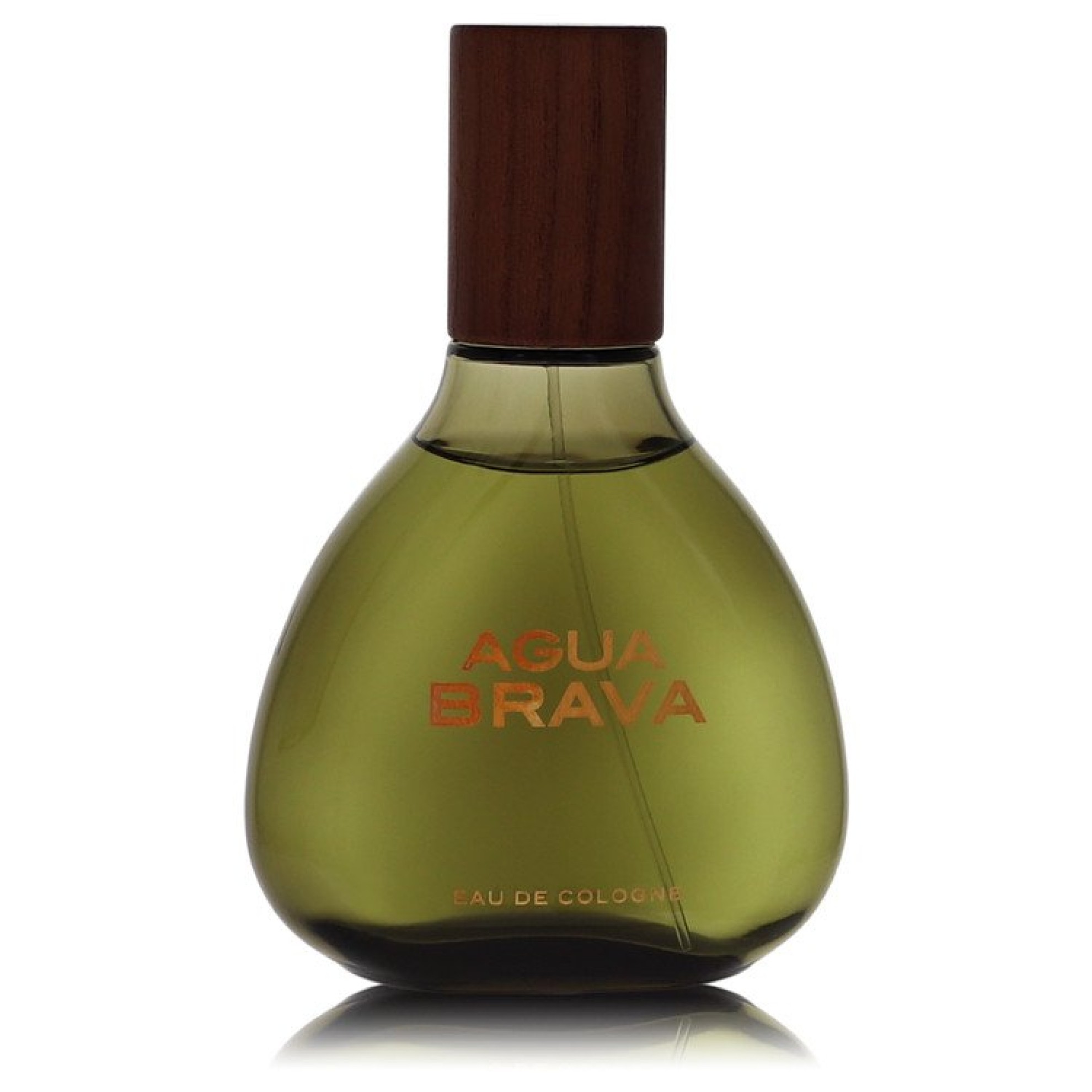 Antonio Puig AGUA BRAVA Eau De Cologne Spray (Unboxed) 100 ml