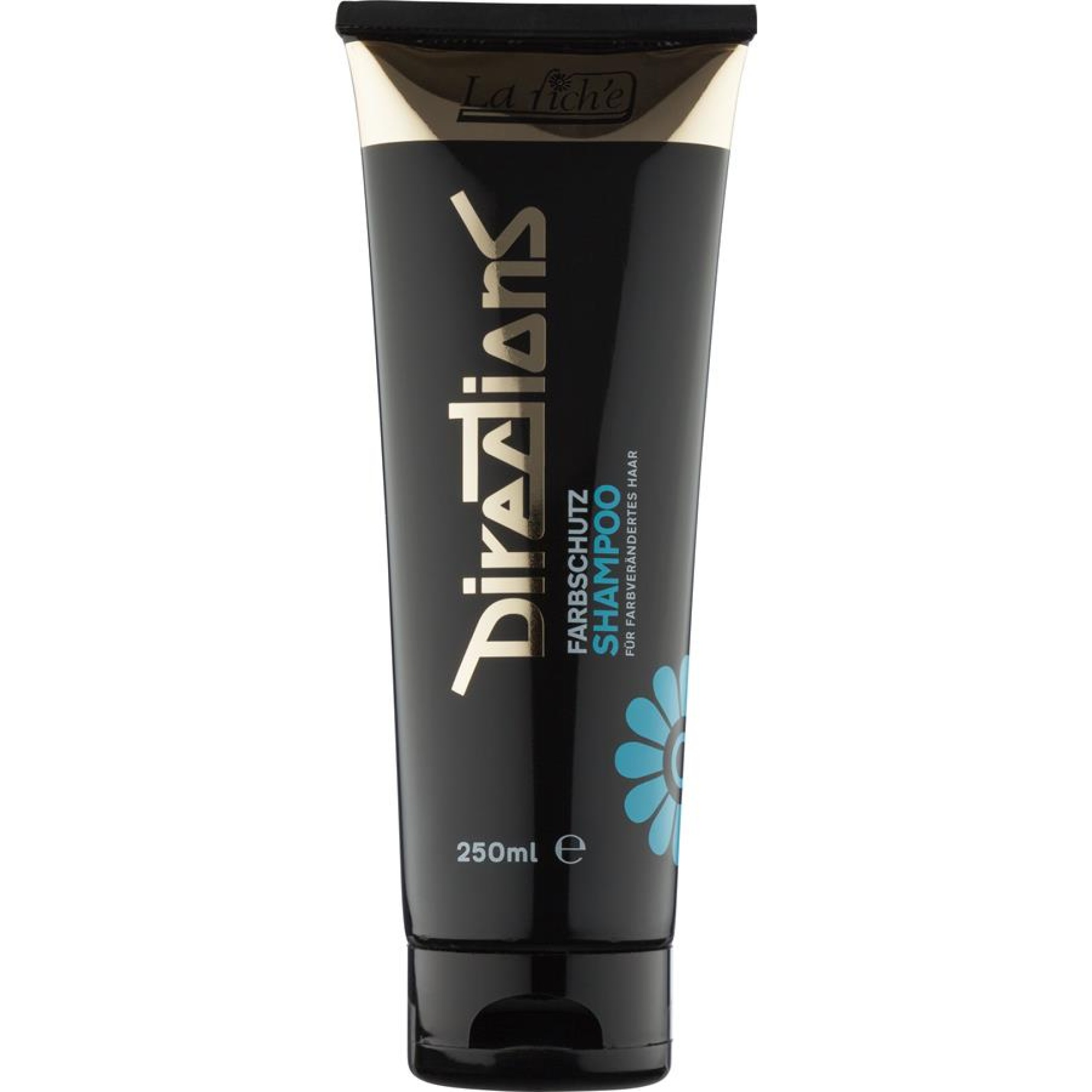 Directions Farbschutzsh.250ml